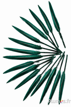 Gans - 5-8 cm - donkergroen